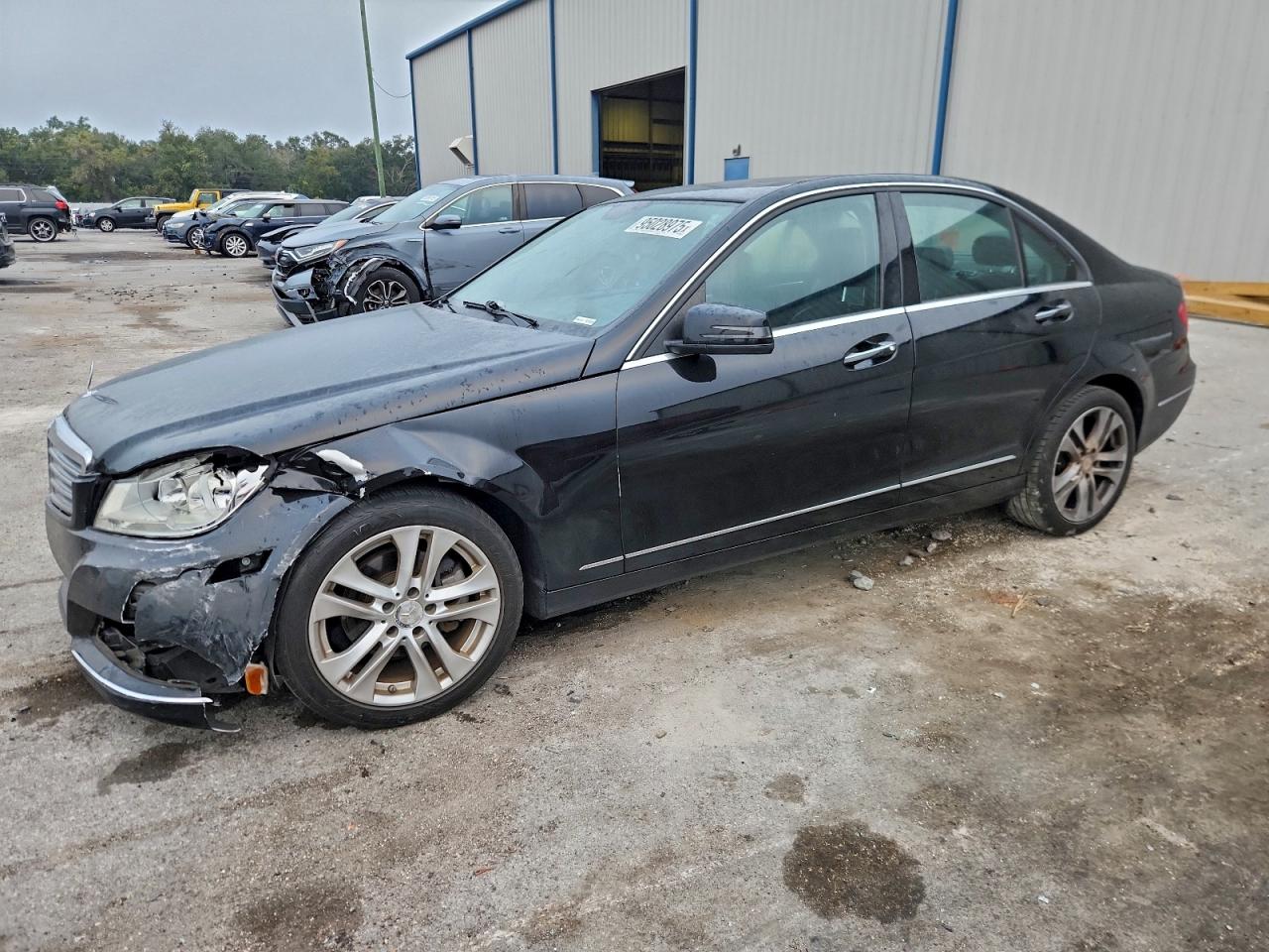 MERCEDES-BENZ C-CLASS 250