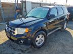 Lot #3304503446 2009 FORD ESCAPE XLT