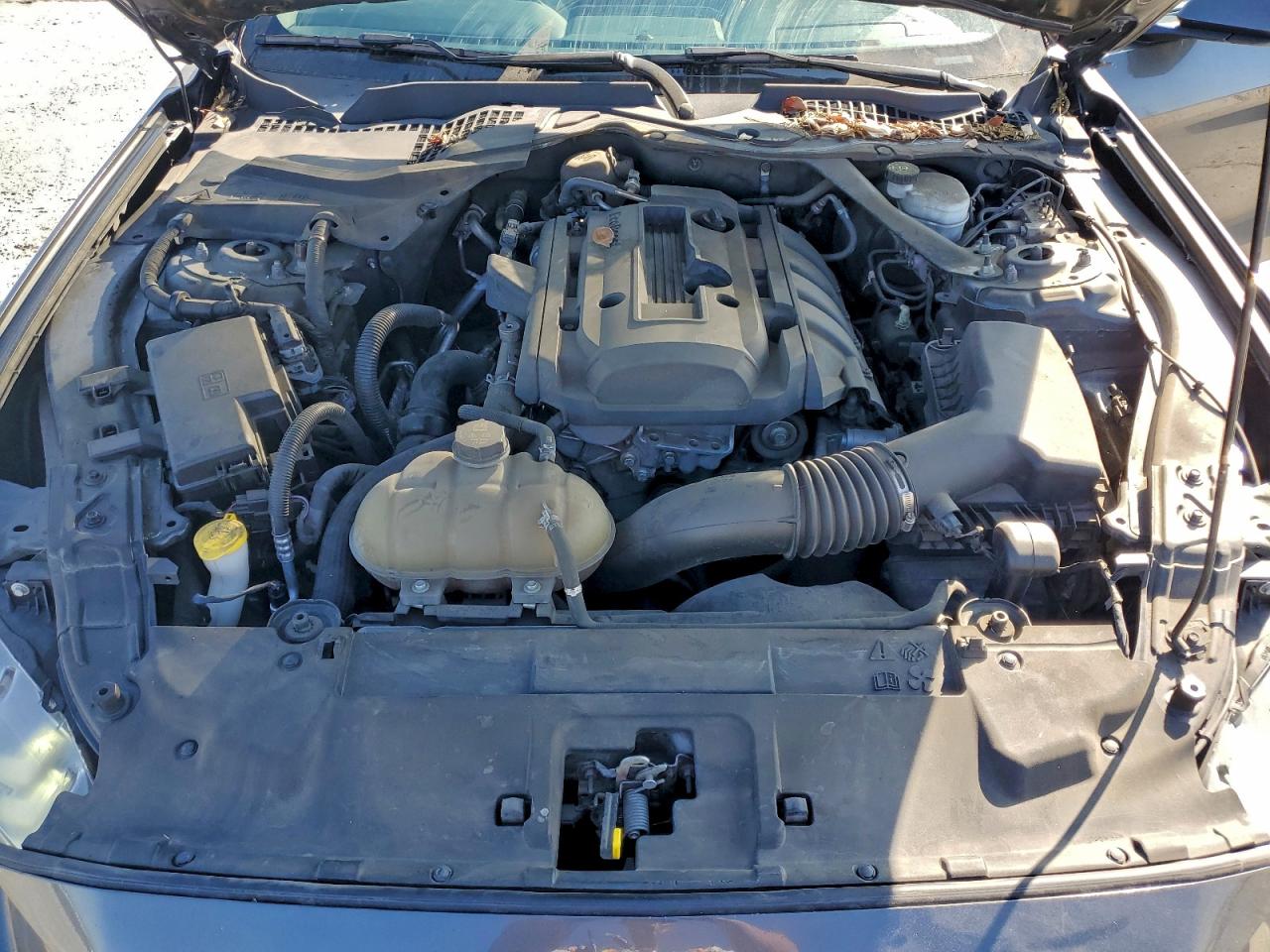 Lot #3309605616 2019 FORD MUSTANG