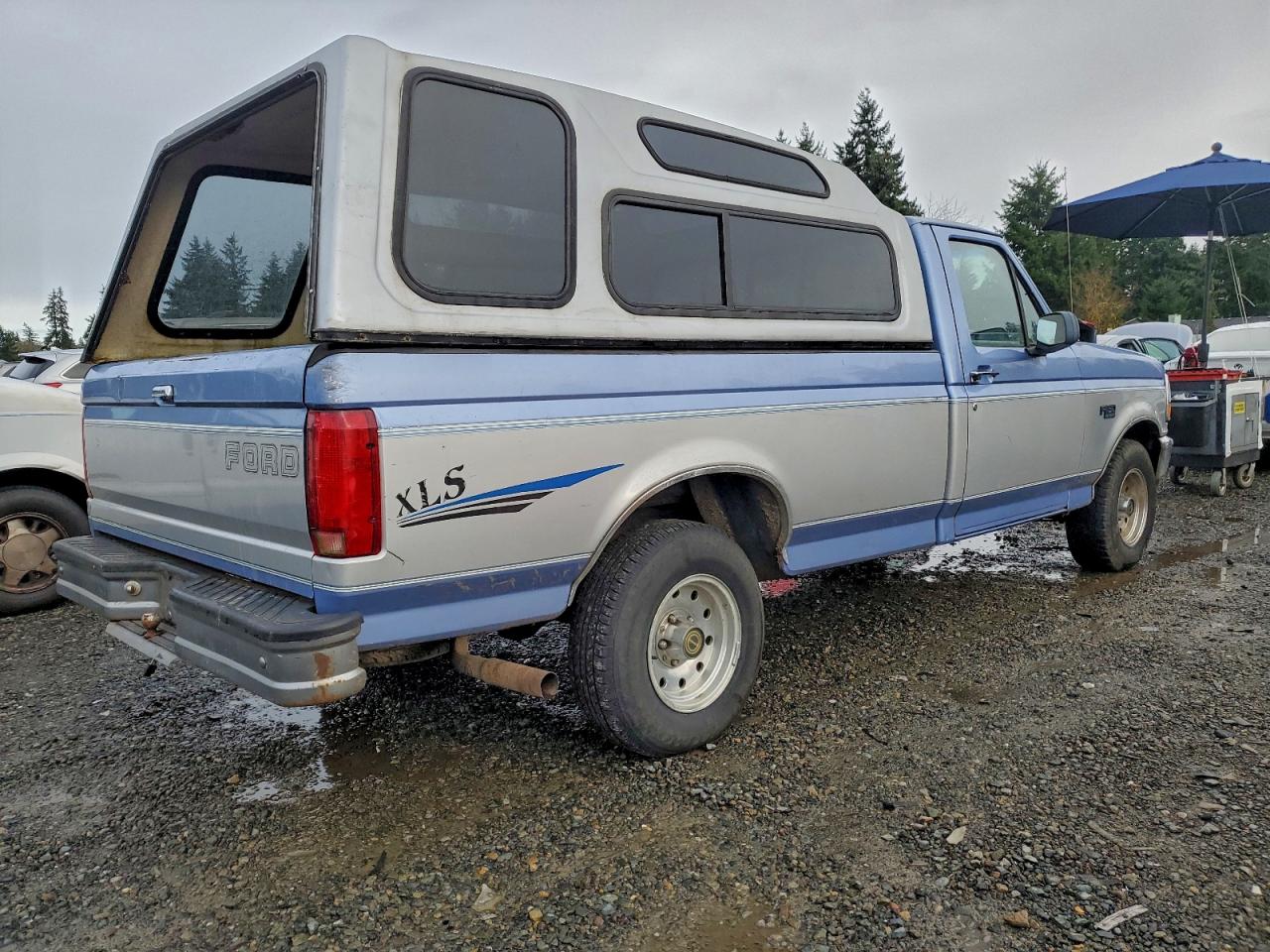 Lot #3316081284 1996 FORD F150