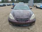 Lot #3301664652 2002 LEXUS ES 300