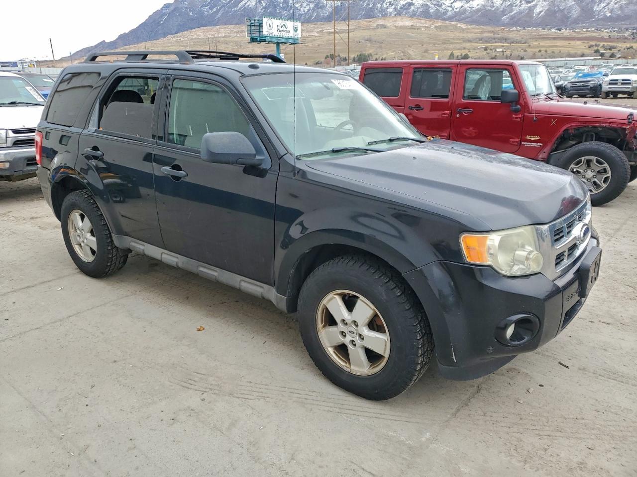 Lot #3309610551 2009 FORD ESCAPE XLT