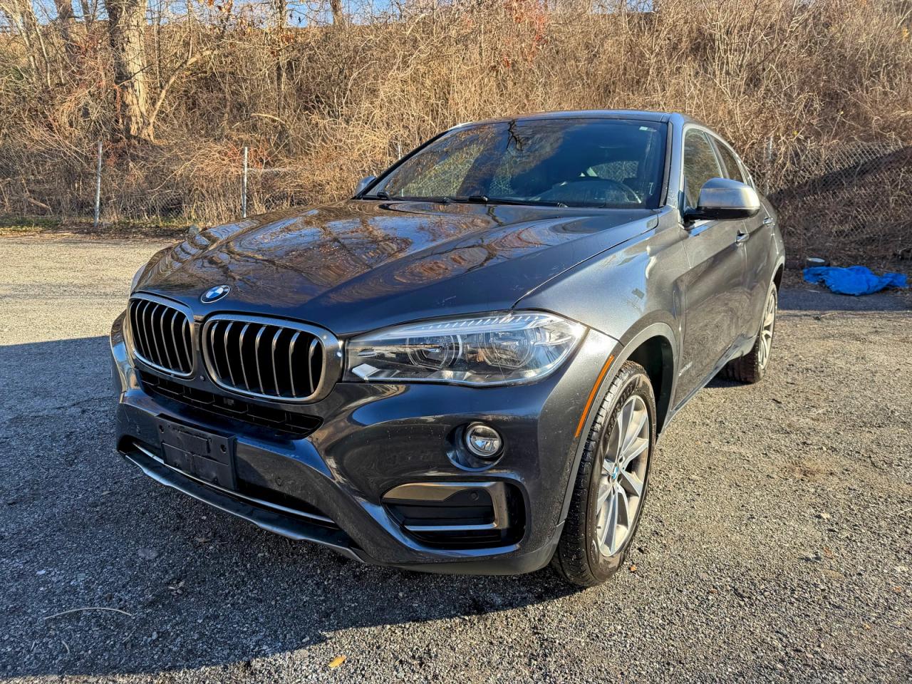 BMW X6 XDRIVE35I