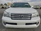 Lot #3316871094 2013 LEXUS GX 460