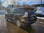 Lot #3308237236 2017 LEXUS GX 460