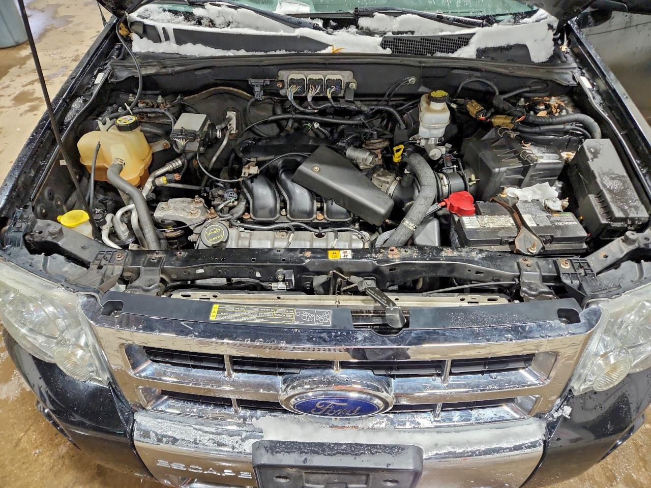 Lot #3311473273 2008 FORD ESCAPE LIM