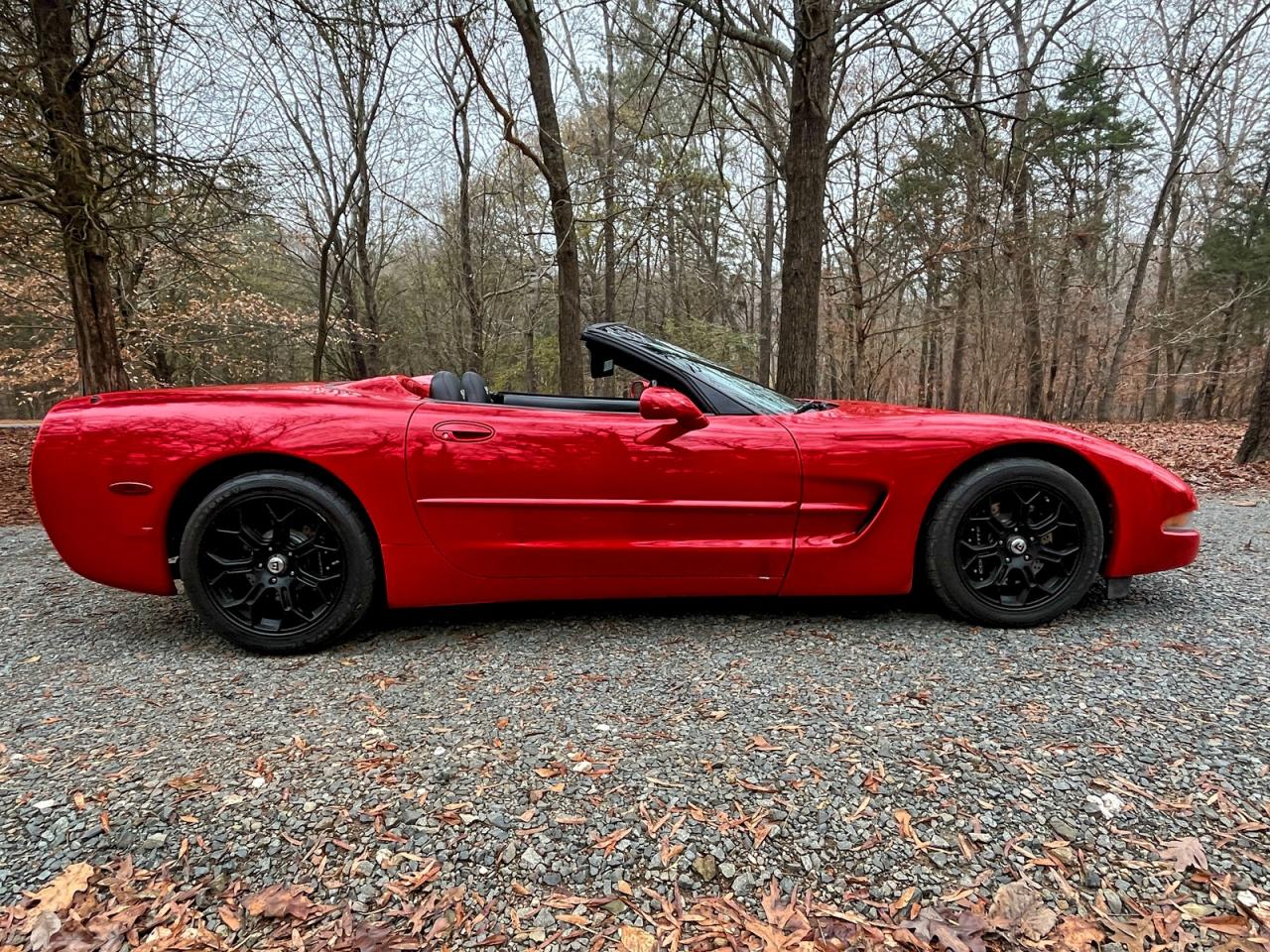 Lot #3315691724 1999 CHEVROLET CORVETTE