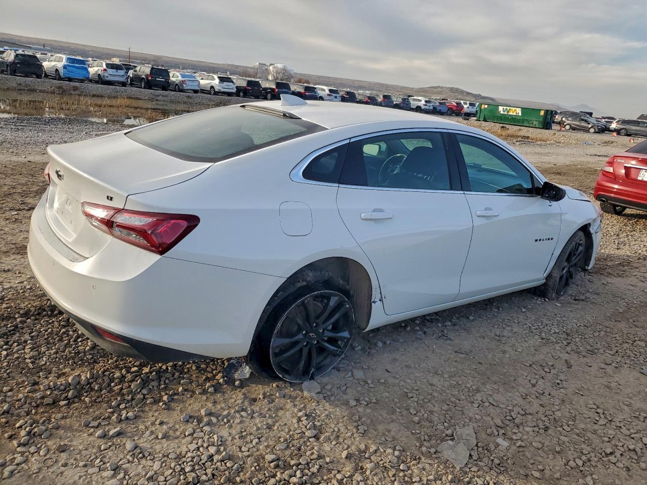 Lot #3317166250 2021 CHEVROLET MALIBU LT