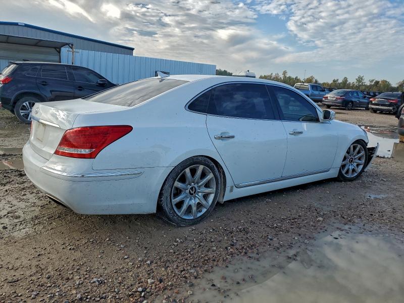2013 HYUNDAI EQUUS SIGN #3311609258