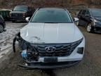 Lot #3318871928 2022 HYUNDAI TUCSON SEL