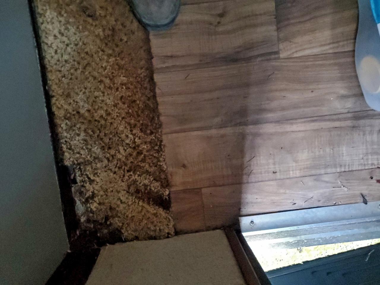 Lot #3302704006 2016 JAYCO JAY FLIGHT