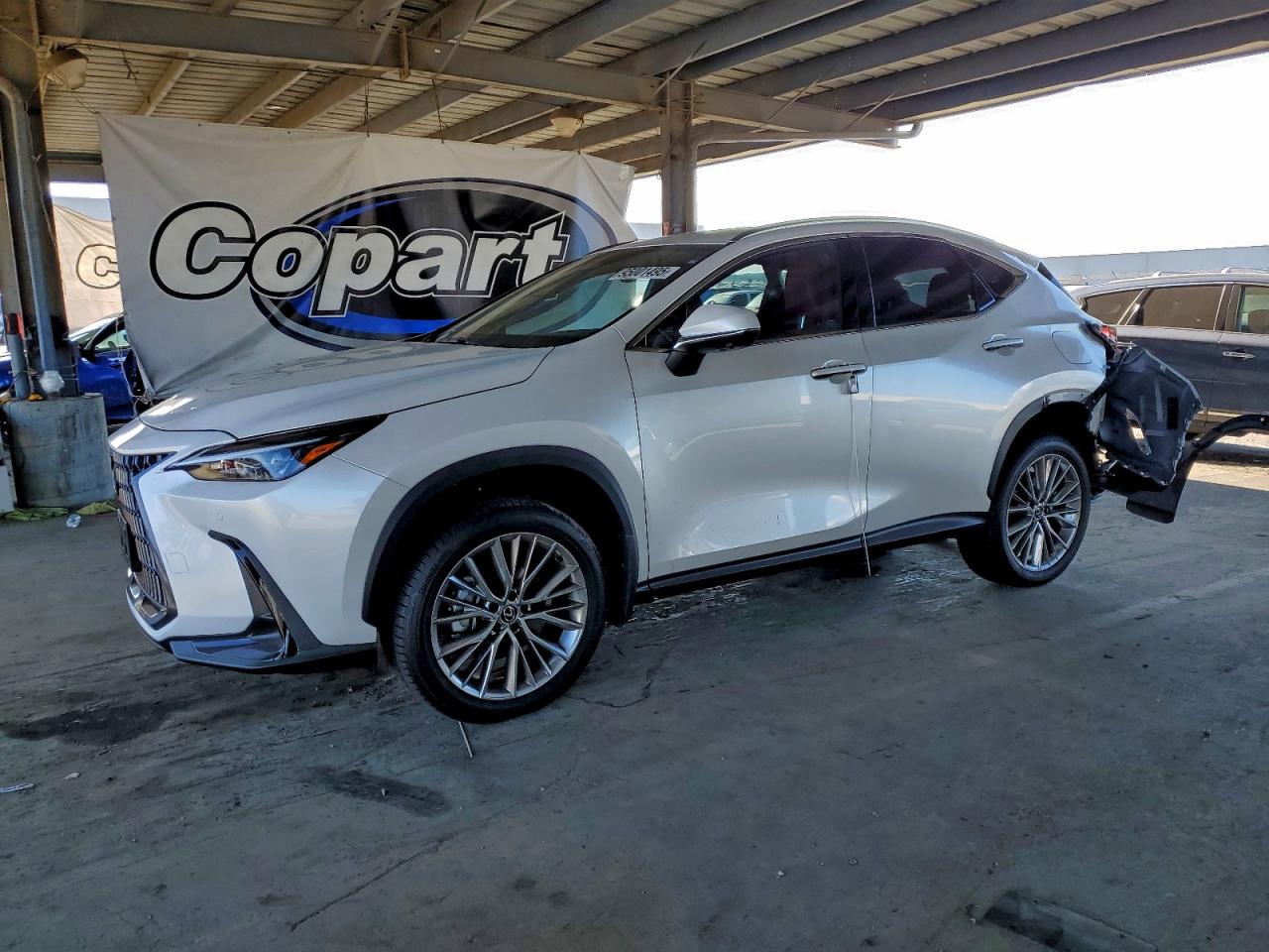 LEXUS NX 350 PREMIUM