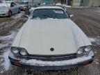 Lot #3317765068 1989 JAGUAR XJS