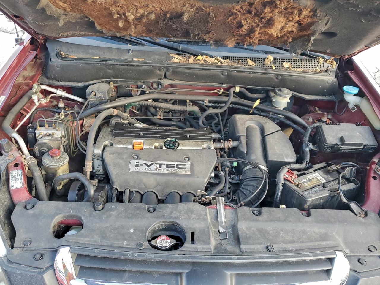 Lot #3311473239 2003 HONDA CR-V EX