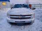 Lot #3302691033 2011 CHEVROLET SILVERADO