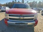 Lot #3316734406 2010 CHEVROLET SILVERADO