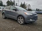 Lot #3312616211 2016 FORD ESCAPE SE