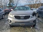 Lot #3311484262 2011 KIA SORENTO BA