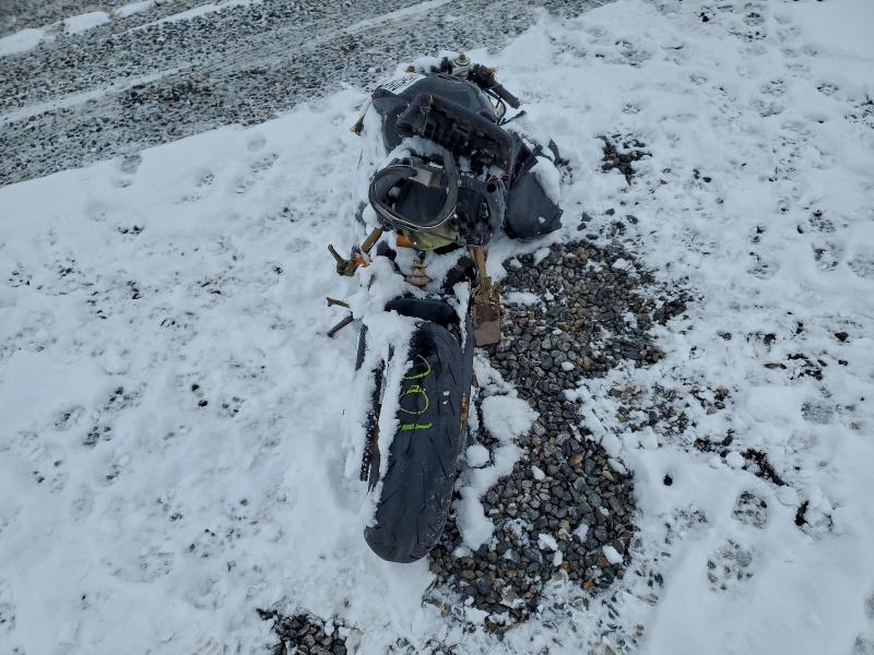 2007 TRIUMPH MOTORCYCLE DAYTONA 67 #3308254152