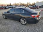 Lot #3309350012 2014 HONDA ACCORD EXL