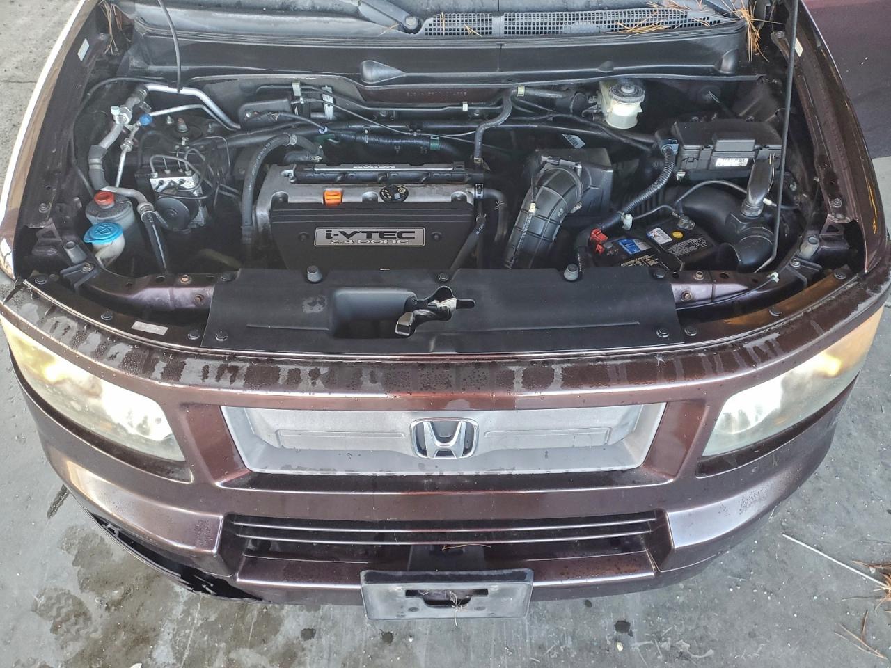 Lot #3305407319 2007 HONDA ELEMENT SC