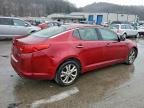 Lot #3310321975 2013 KIA OPTIMA EX