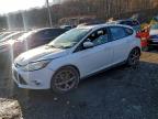 Lot #3306393549 2014 FORD FOCUS SE