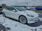 Lot #3308324257 2021 TESLA MODEL 3