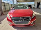 Lot #3317793132 2016 HYUNDAI SONATA HYB