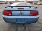 Lot #3312690157 2005 FORD MUSTANG