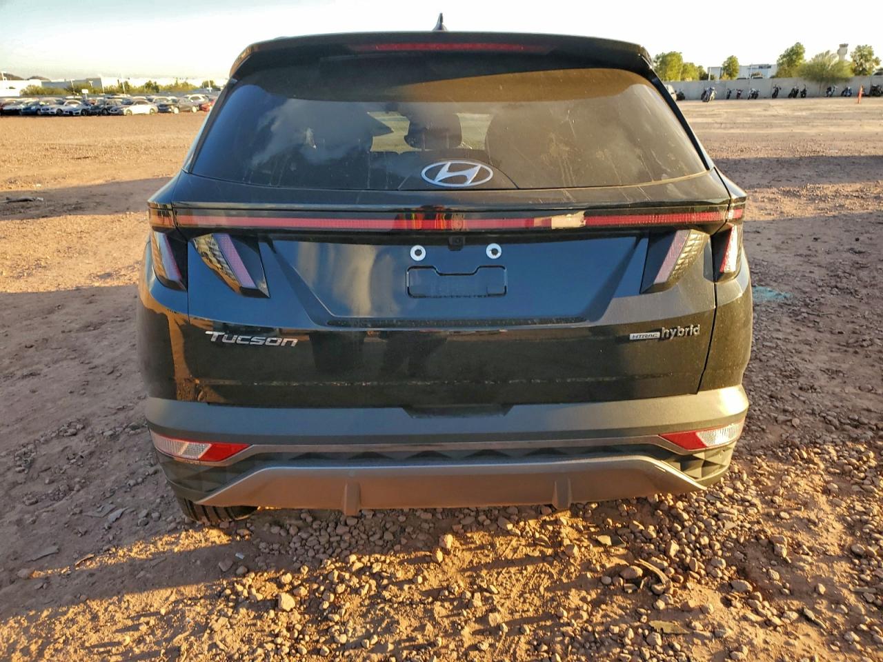 Lot #3311750749 2024 HYUNDAI TUCSON LIM