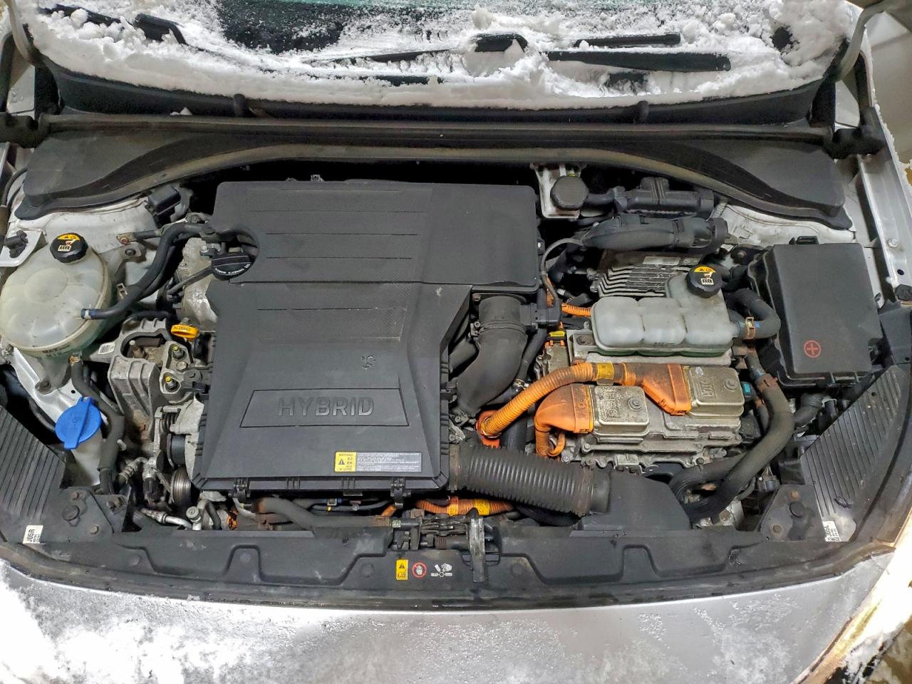 Lot #3311722251 2019 HYUNDAI IONIQ BLUE