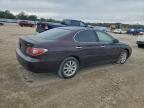 Lot #3301664652 2002 LEXUS ES 300