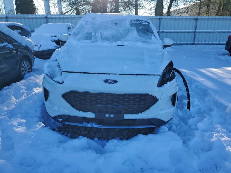 2021 FORD ESCAPE SE #3315803378