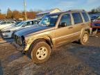 Lot #3304744956 2005 JEEP LIBERTY SP
