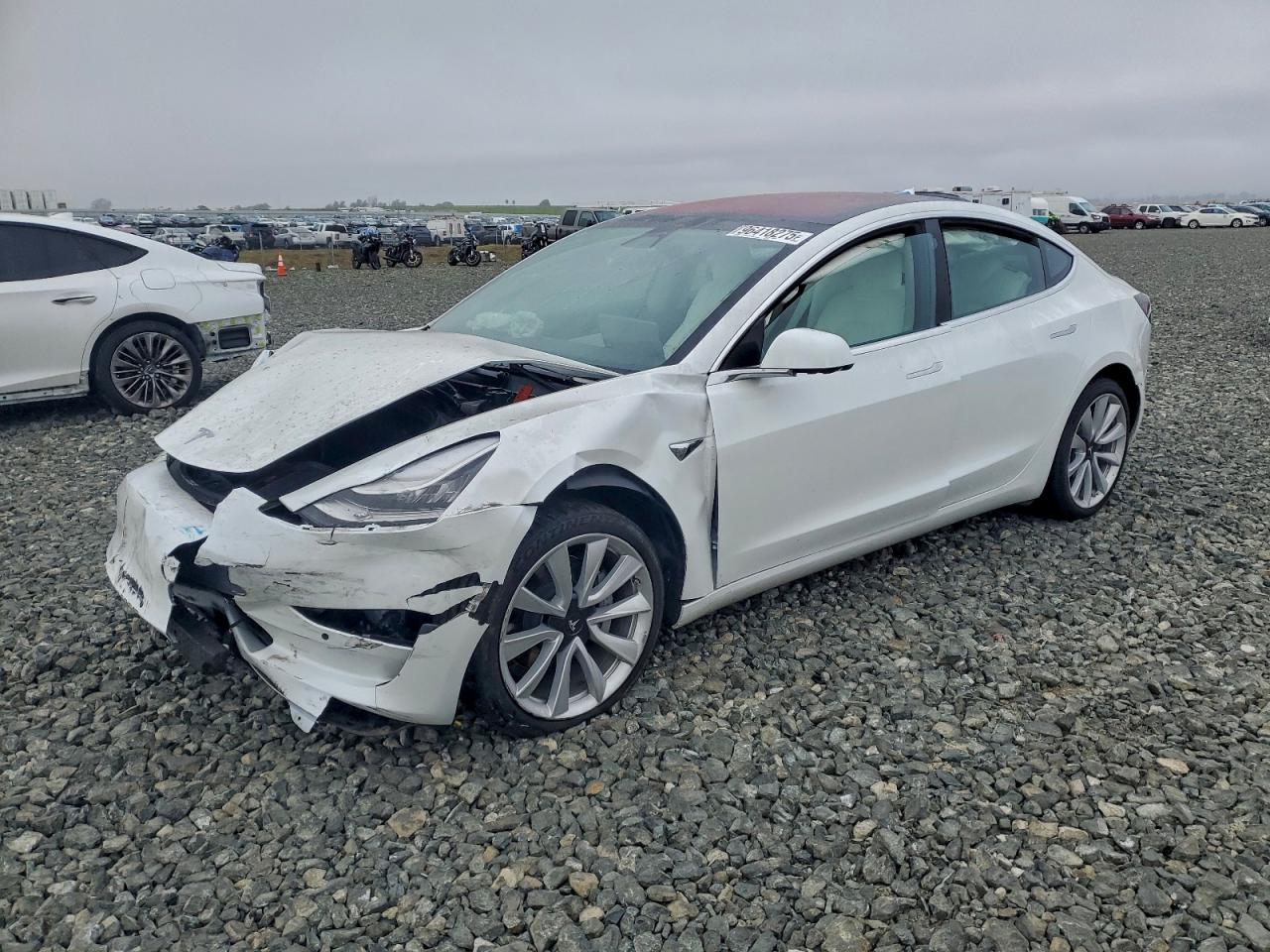 Lot #3318147436 2019 TESLA MODEL 3