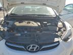 Lot #3311562285 2013 HYUNDAI ELANTRA GL