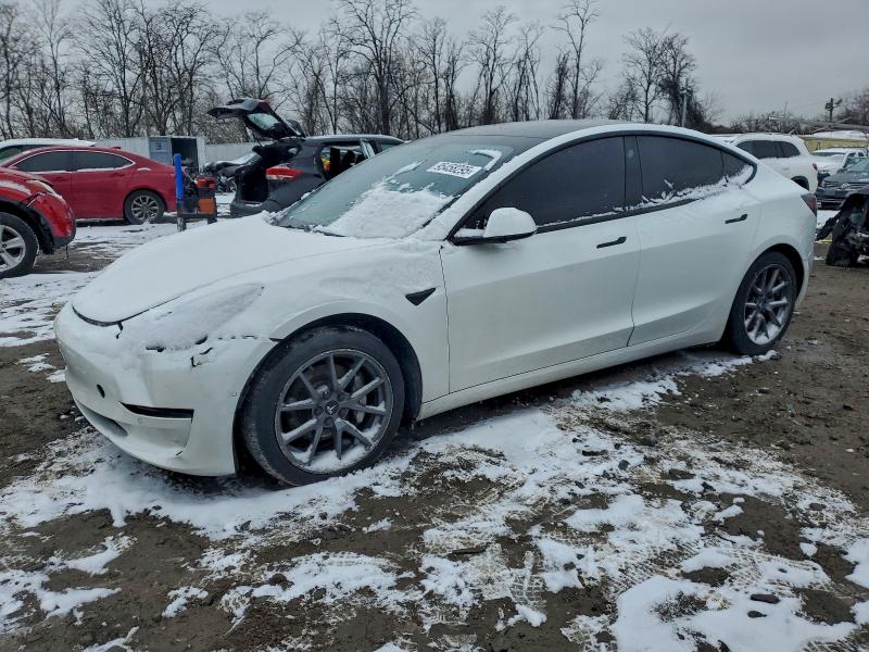 2021 TESLA MODEL 3 #3309465582