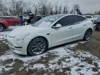 Lot #3309465582 2021 TESLA MODEL 3