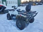 Lot #3315818343 2017 POLARIS SPORTSMAN