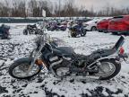 Lot #3309426963 2007 SUZUKI VS800