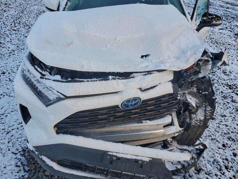 2024 TOYOTA RAV4 XLE #3303792421