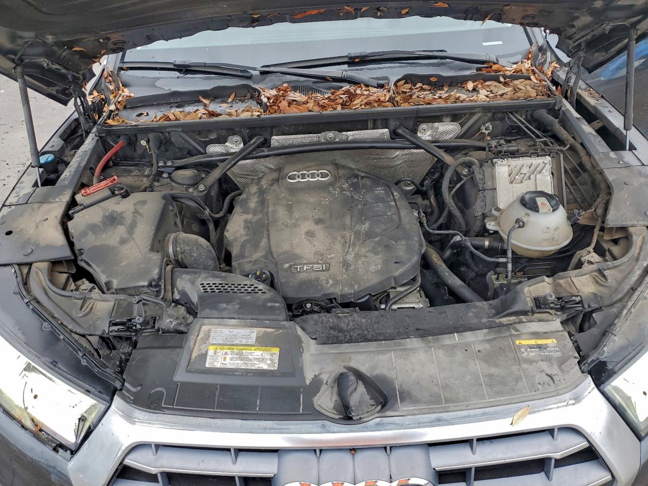 AUDI Q5 PREMIUM PLUS