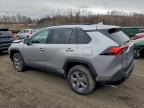 Lot #3302646190 2025 TOYOTA RAV4 XLE