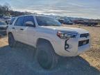 Lot #3315633772 2023 TOYOTA 4RUNNER SE