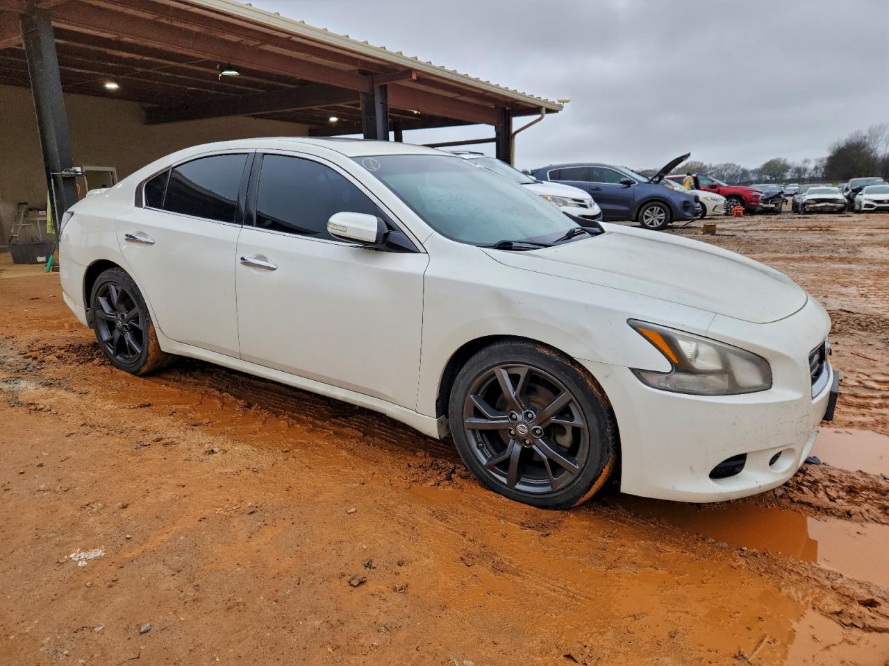 Lot #3309225616 2014 NISSAN MAXIMA S