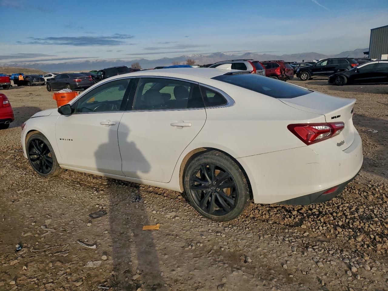 Lot #3317166250 2021 CHEVROLET MALIBU LT