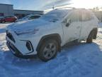 Lot #3315732372 2023 TOYOTA RAV4 XLE