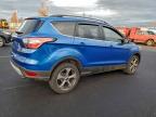 Lot #3317689071 2017 FORD ESCAPE SE