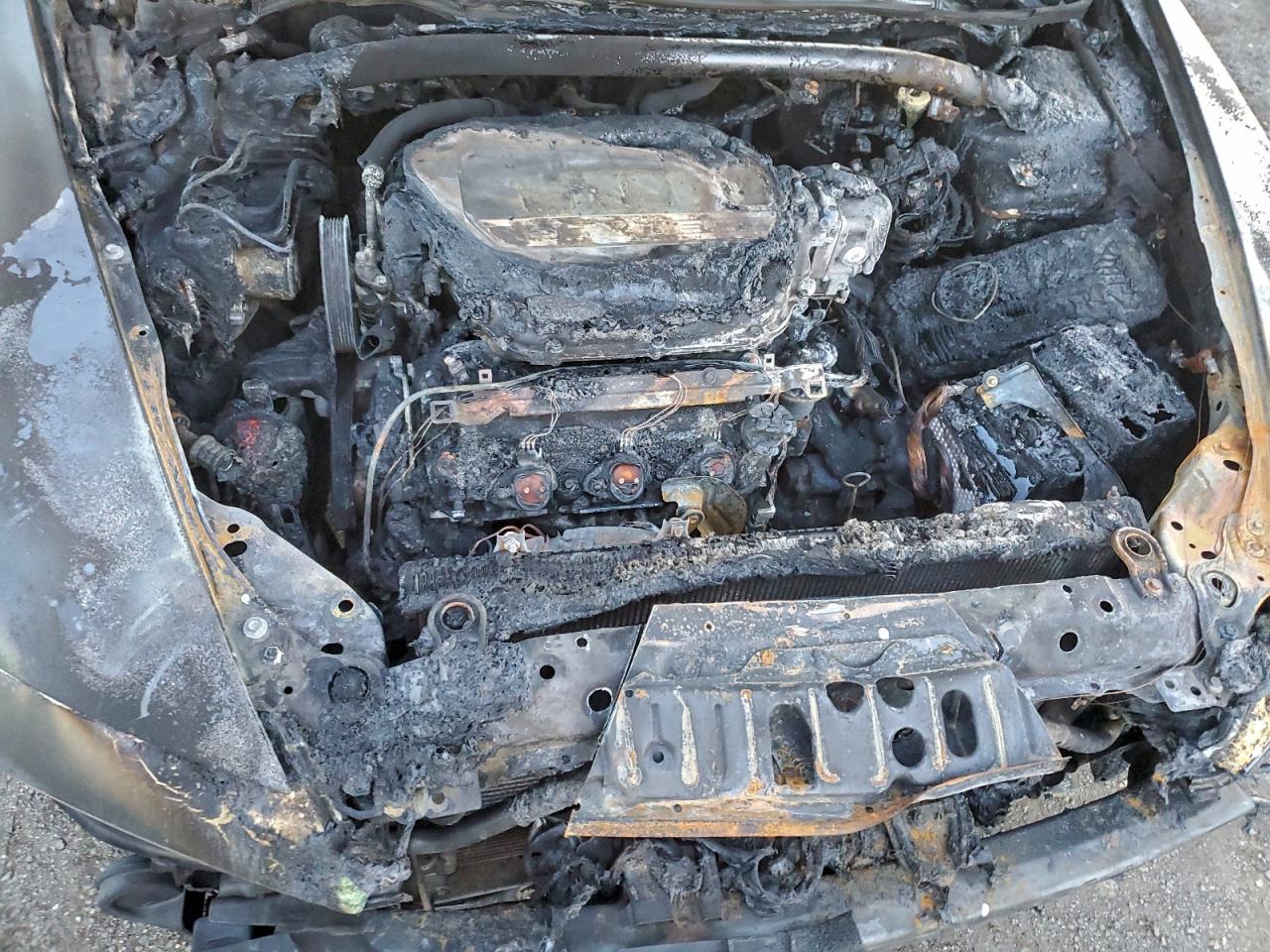 Lot #3309508605 2008 ACURA TL